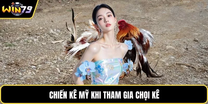 Chiến kê Mỹ khi tham gia chọi kê