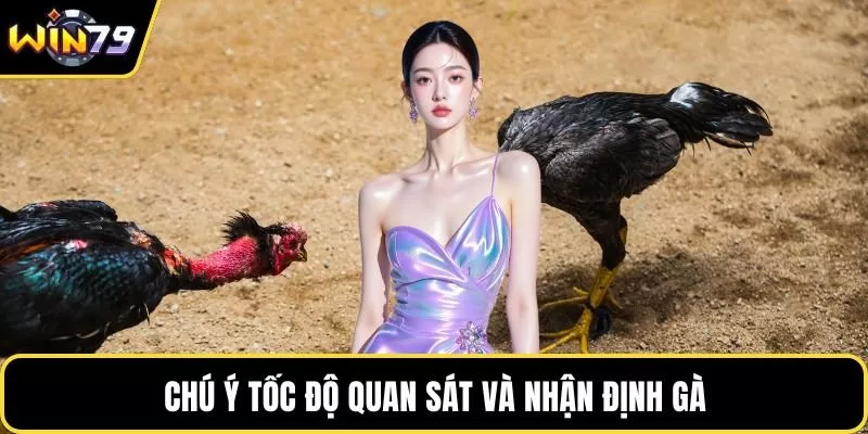 Chú ý tốc độ quan sát và nhận định gà
