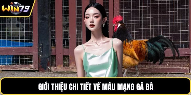 Giới thiệu chi tiết về màu mạng gà đá