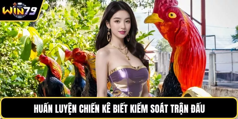 Huấn luyện chiến kê biết kiểm soát trận đấu