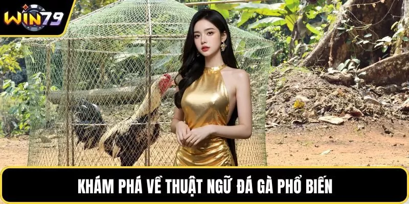 Khám phá về thuật ngữ đá gà phổ biến