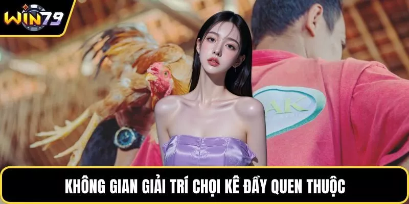 Không gian giải trí chọi kê đầy quen thuộc