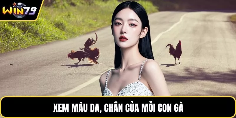 Xem màu da, chân của mỗi con gà